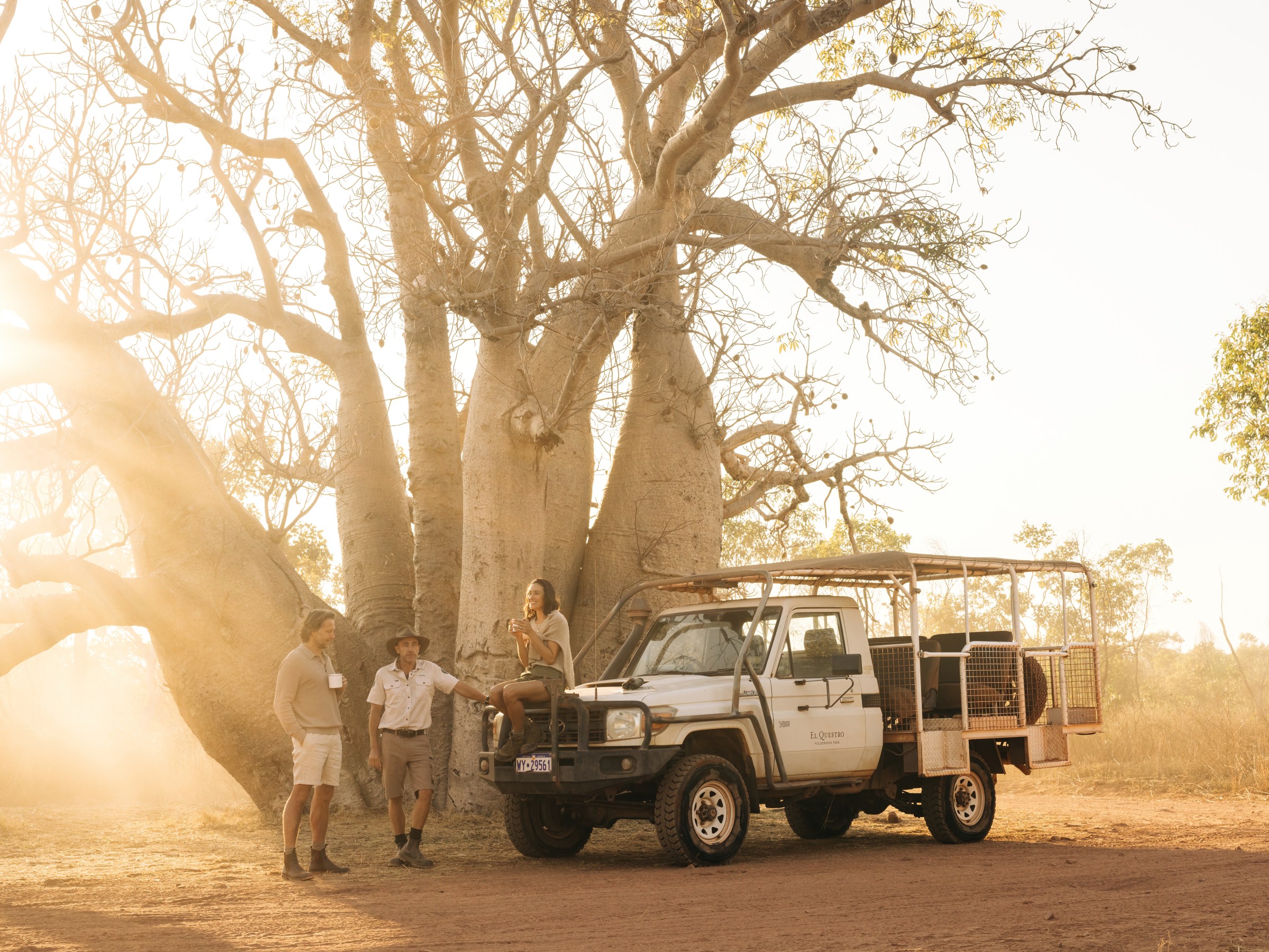 Group of people with a safari vehicle near large trees at sunset.