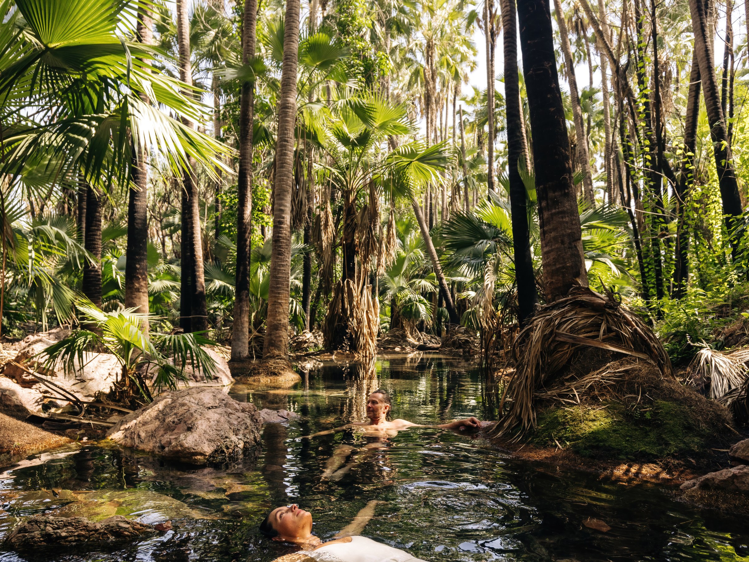 Person floating in a forest stream surrounded by tall palm trees.